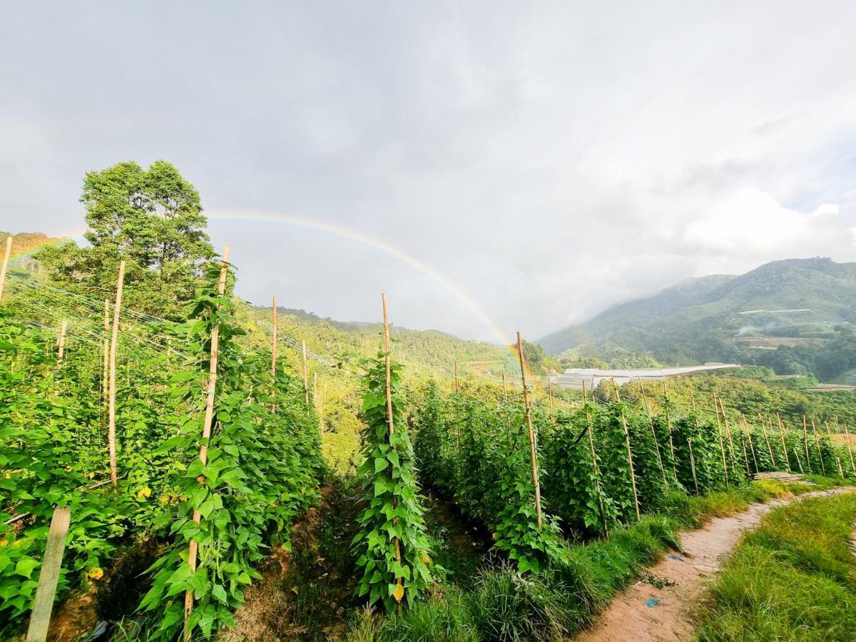 Mossy Forest Family Retreat, Kea Farm Brinchang Apartment Екстериор снимка